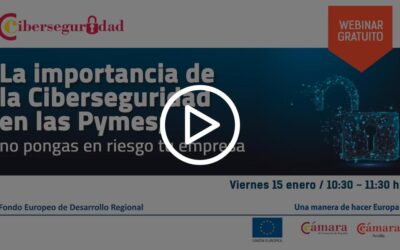 Webinar La importancia de la Ciberseguridad en las Pymes; no pongas en riesgo tu empresa