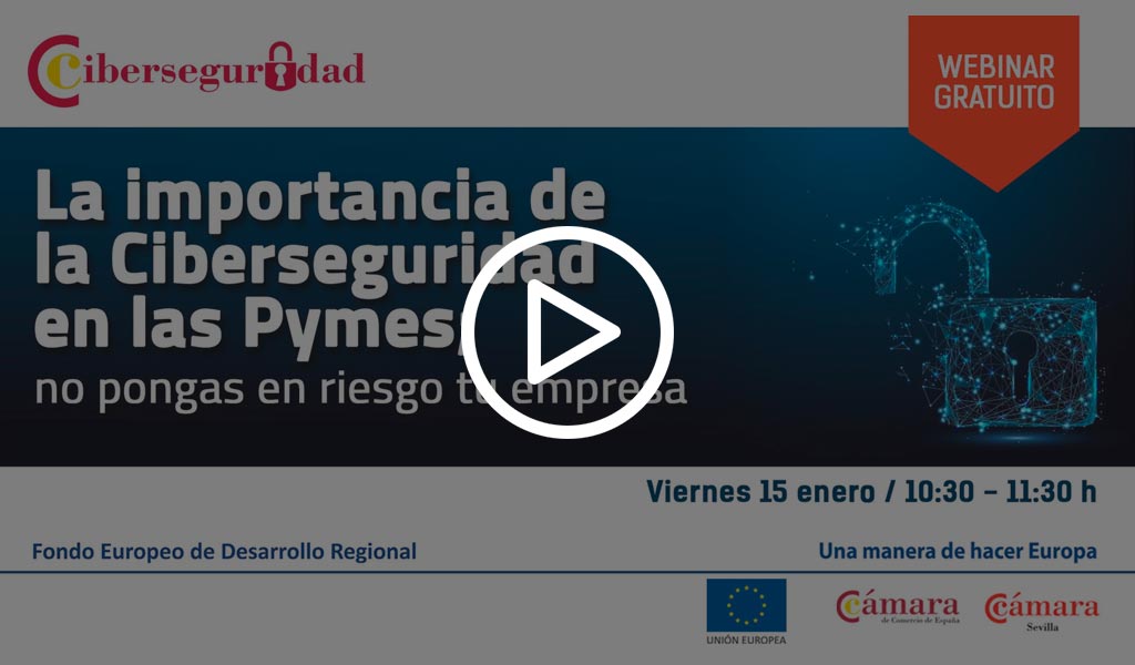 Webinar La importancia de la Ciberseguridad en las Pymes; no pongas en riesgo tu empresa